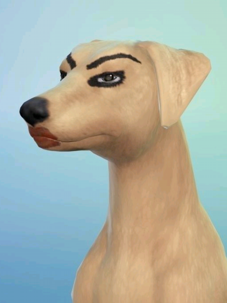 edit Domênica Girls in the house #edit #domenica #girlsinthehouse 