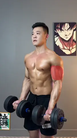 💯💪Remember these tips for beginners to train their arms, and you won’t have to worry about not being able to train your arms #Home #workout #arm #training #Fitness #goods @𝑮𝒚𝒎.𝑭𝒊𝒕𝒏𝒆𝒔𝒔 @𝑮𝒚𝒎.𝑭𝒊𝒕𝒏𝒆𝒔𝒔 @𝑮𝒚𝒎.𝑭𝒊𝒕𝒏𝒆𝒔𝒔 