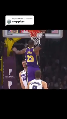 Replying to @Kami I got you #lebron #lebronjames #like 