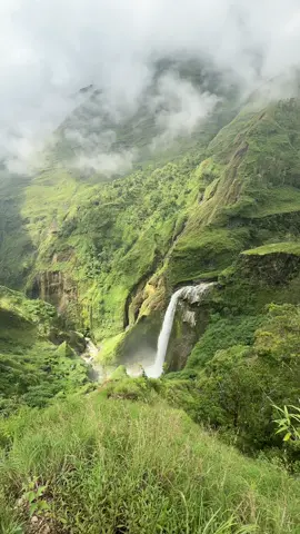 Jalur torean dengan keindahan nya #rinjani#torean #pendakiindonesia 