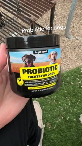 Probióticos para tus perros 👌 #fypシ #roryoupage #probiotic #dogs