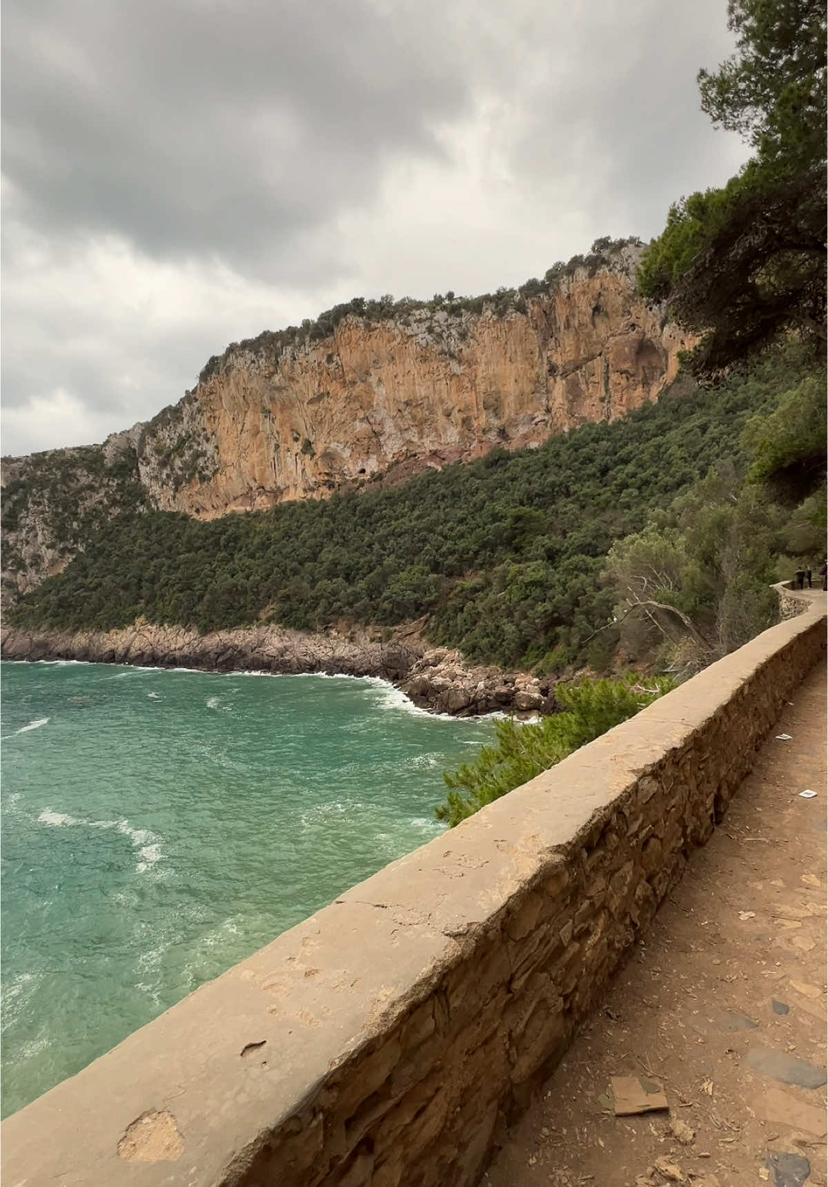 🇩🇿
