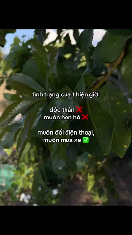 sao mạ flop dử da 😢 #xh #fyp #viral #ddnxuhuong 