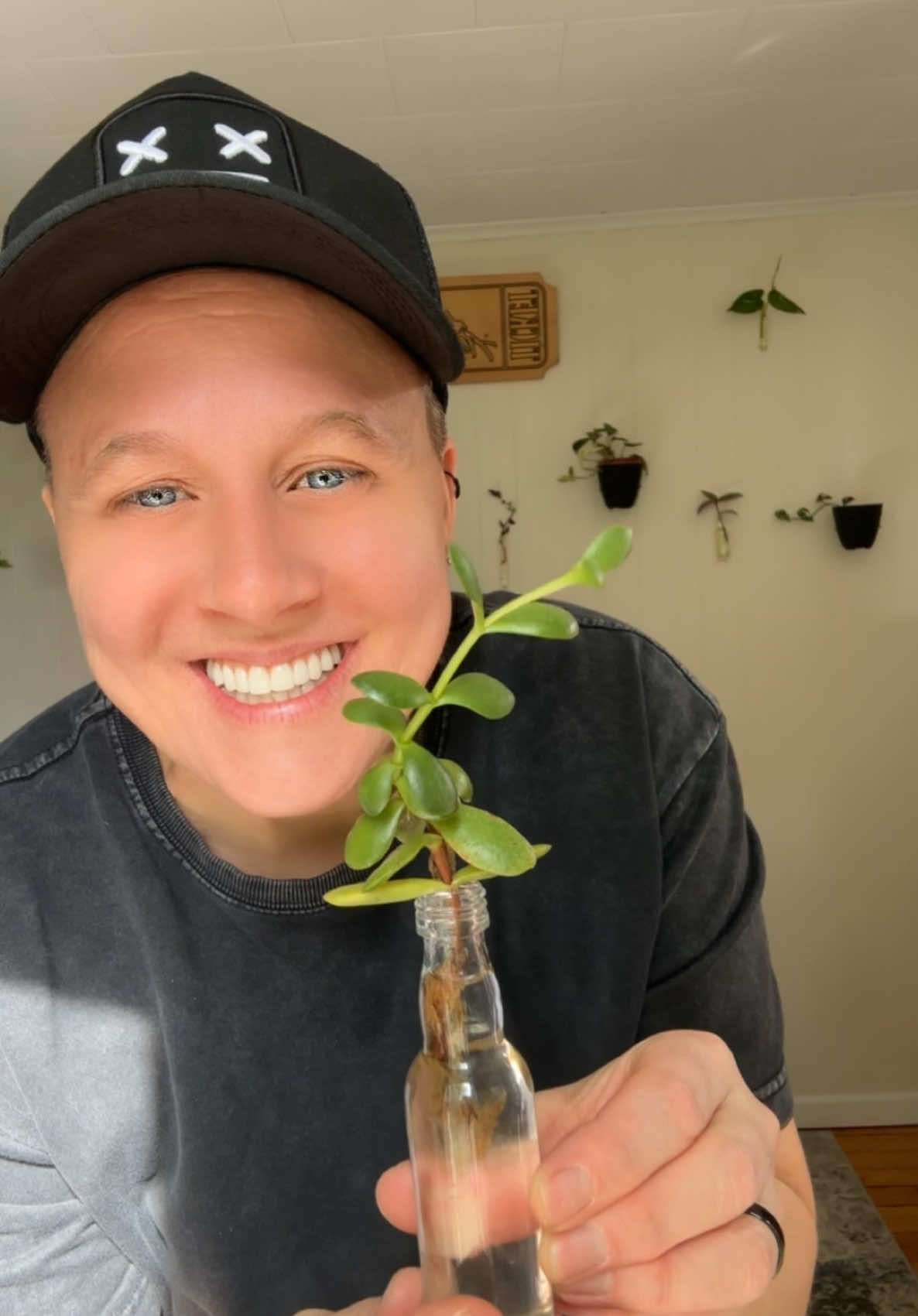 I asked about 100k of you if I should do this wall, I wonder how many will see it finished. #mascsoftiktok #plants #propogation #plantsoftiktok #DIY 