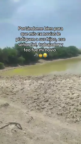 #lobodeldesierto 