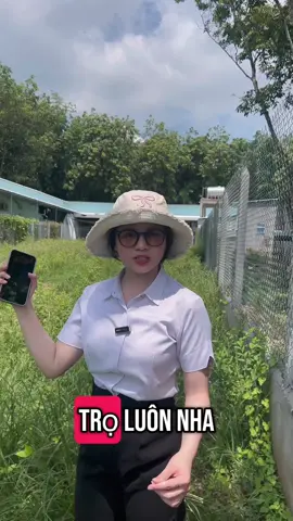 Đất cạnh dãy trọ, gần chợ chỉ 250tr. Anh chị quan tâm gọi em xem đất #bds #nhadat #datngop #sandatngop #xuhuong #fyp #bdsgiare #binhduong 