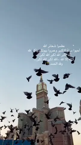 ﴿ وَأَذِّن فِي ٱلنَّاسِ بِٱلۡحَجِّ يَأۡتُوكَ رِجَالٗا وَعَلَىٰ كُلِّ ضَامِرٖ يَأۡتِينَ مِن كُلِّ فَجٍّ عَمِيقٖ ﴾ [ الحج: 27]  #اكسبلورexplore #الشعب_الصيني_ماله_حل😂😂 #foryou #عشر_ذي_الحجة 