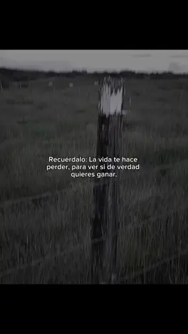A veces perder es parte del proceso… el verdadero fuerte nunca se rinde. #frases #superacionpersonal #mentalidadganadora #frasesmotivadoras #disciplina #mentefuerte 