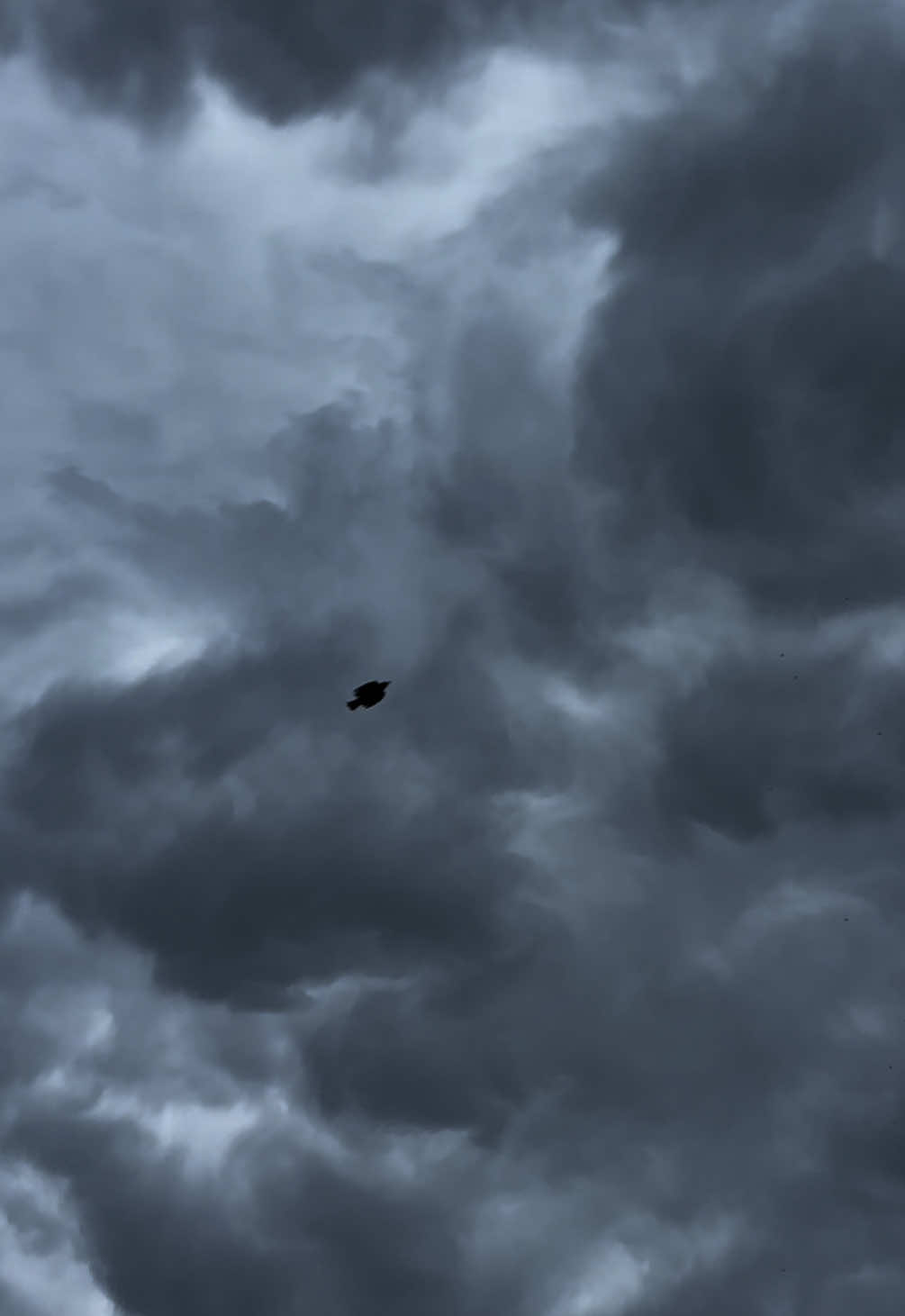 under the waves. #naturecore #fypシ 