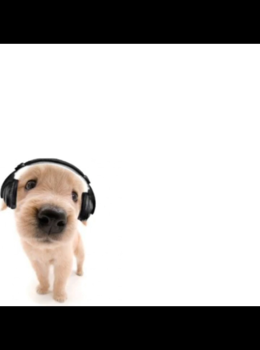 #🗣️🗣️🗣️ #🔥🔥🔥 #❗❗❗ #4k #song #musica #saturado #noriel #elalfa #darell #fyp