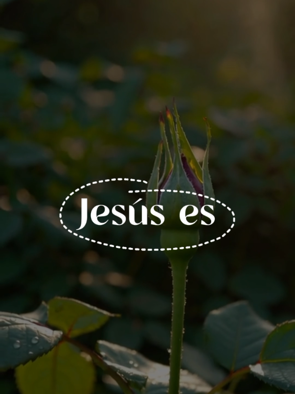 Jesús✝️ #CapCutMotivacional #CapCut #cristianostiktok #jesusteama #jesuslovesyou 