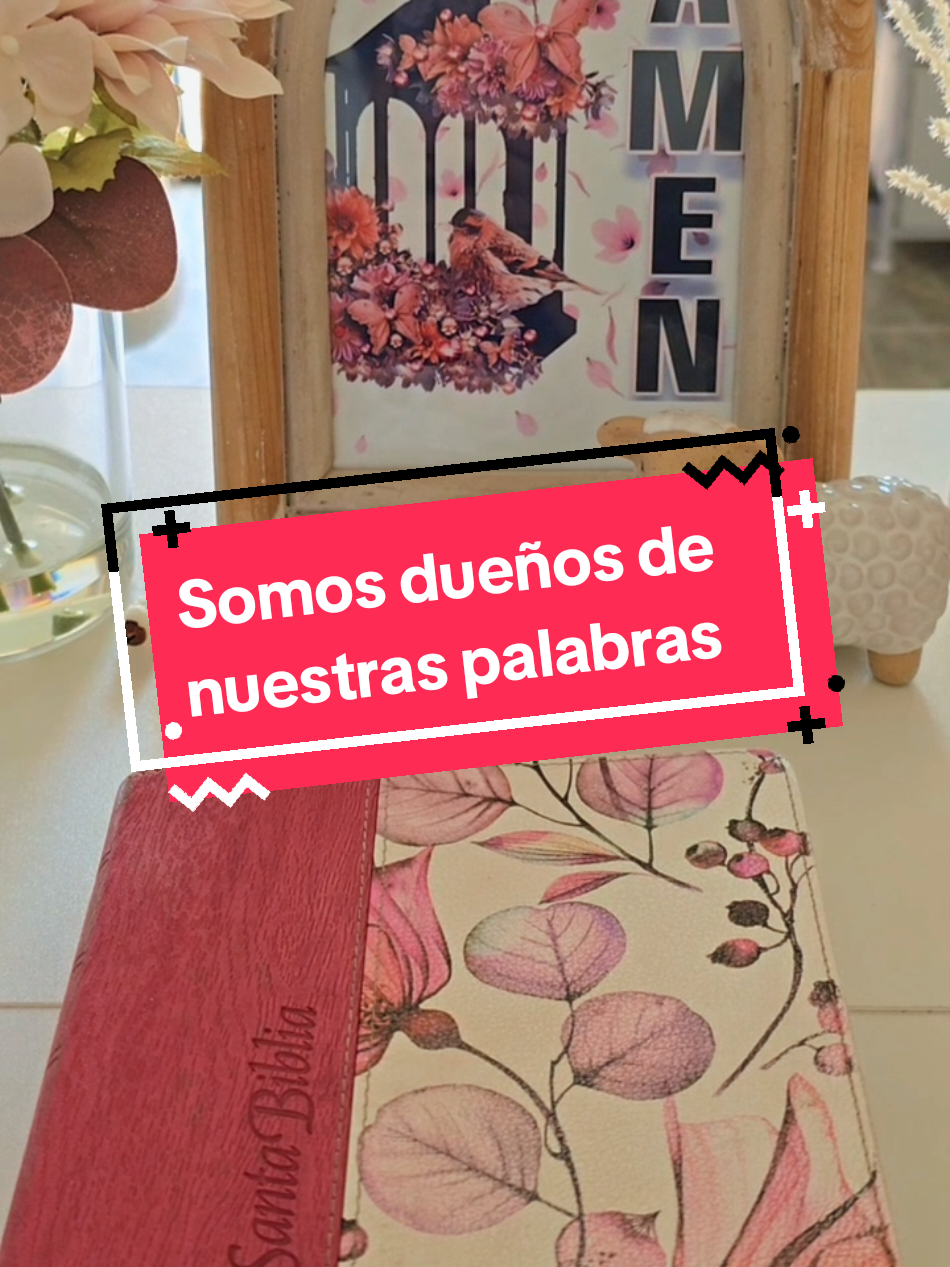 #palomamedina #consejosabio #palabradeDios #soylanumero100 