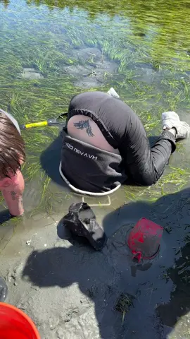Geoduck digging dedication! Legit badass