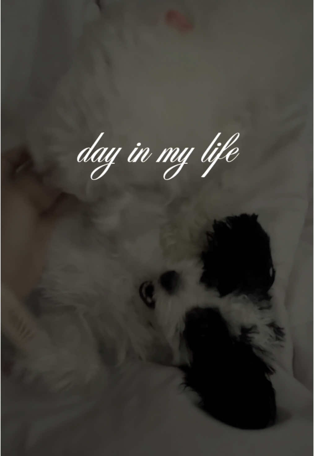 day in my life🤍