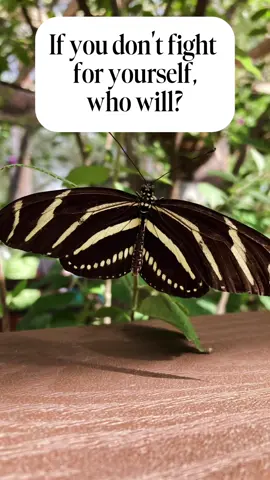 #CapCut #butterfly #fyp #paratiiiii #abq #momtoks 