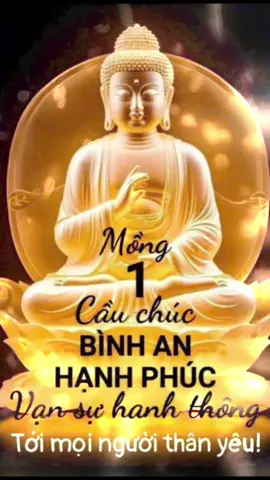 Mùng 1 cầu chúc tất cả mọi người bình an, hạnh phúc, vạn sự hanh thông. #nhacthien  #adidaphat #songcham  #nhanqua  #loiphatday  #viraltiktok  #kimlien  #xu_hướng  #tinhtam  #giacngovagiaithoat  #phatphapnhiemmau  #niemphat 