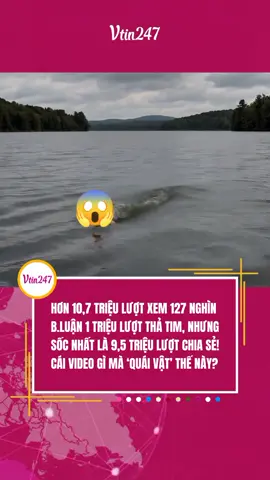 GIẢI TRÍ VUI VẺ KHÔNG QUẠU HIHI #vtin247 #tiktokgiaitri #tiktoknew #giaitritiktok 