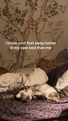 And in my spot none the less 🤨 #catsoftiktok 