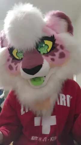 Anywayssssss, last video I make about this nonsense. . . . #furriesoftiktok #fursuit #fursuitersoftiktok #furrytiktok #furries #furrycommunity #furry #furryfandom #fur #CapCut 