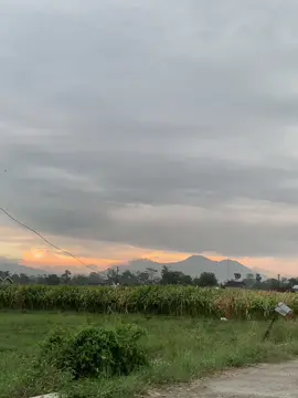 Nemen #foryou #liriklagu #liriklagujawa #nemen #fyp #viral #trending 