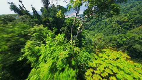 Cảnh quay của Phi công dày kinh nhiệm sẽ đau tim đến cỡ nào 🧐#phamvinhfpv #fpv #drone #dronefpv #waterfall 