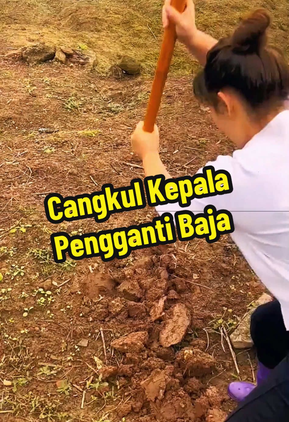 Cangkul Kepala Pengganti Baja #tools #fyfyfy #toolstoday #goodthing #use #DIY #maintenance #foryou #goodtool #tool #accessories #powertools 