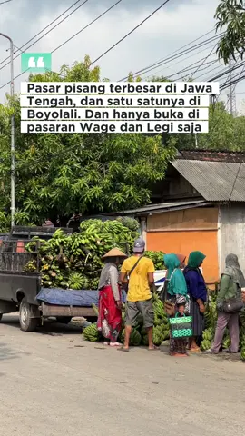 Ratusan orang memadati Pasar Pisang Juwangi, sekitar 100 meter dari Pasar Juwangi. Pasar pisang terbesar di Jawa Tengah ini terletak di tepi jalan Dusun Kalongan, Desa Juwangi, Boyolali. Jual beli dilakukan setelah pedagang membongkar muatan pisang dari truk dan memajangnya di lahan yang tersedia. Sudah pernah mendengar pasar pisang ini ?