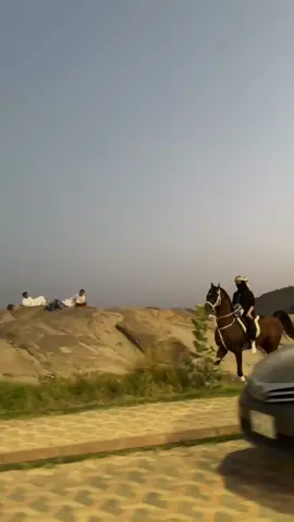 نسّد ونطلق حجاجةةةةةة 🔥☝🏻#شهران #explore #viral #tiktok #trending 