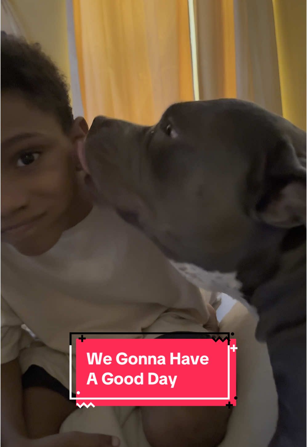 We Gonna Have A Goodday! #goodday #americanbully #americanbulldog #bigdogsoftiktok #besties #bestiegoals #bulldog #bullybreed #bulldogsoftiktok #dogcousins #cutenessoverloaded #dogsplaying #dogmama #doggies  #dogtok #dogvideos #dogsoftiktok  #exoticbully #famouspets #funnydog  #guarddog #guarddogs  #hearttoheart #k9  #k9softiktok #k9training #lightskindog #mansbestfriend #pitbull #pittbull #pitbullsoftiktok #pitbulllove #pitbullsoftiktok #pitbullproblems #pocketbully #standardbully #welit #xlb #xlbully  