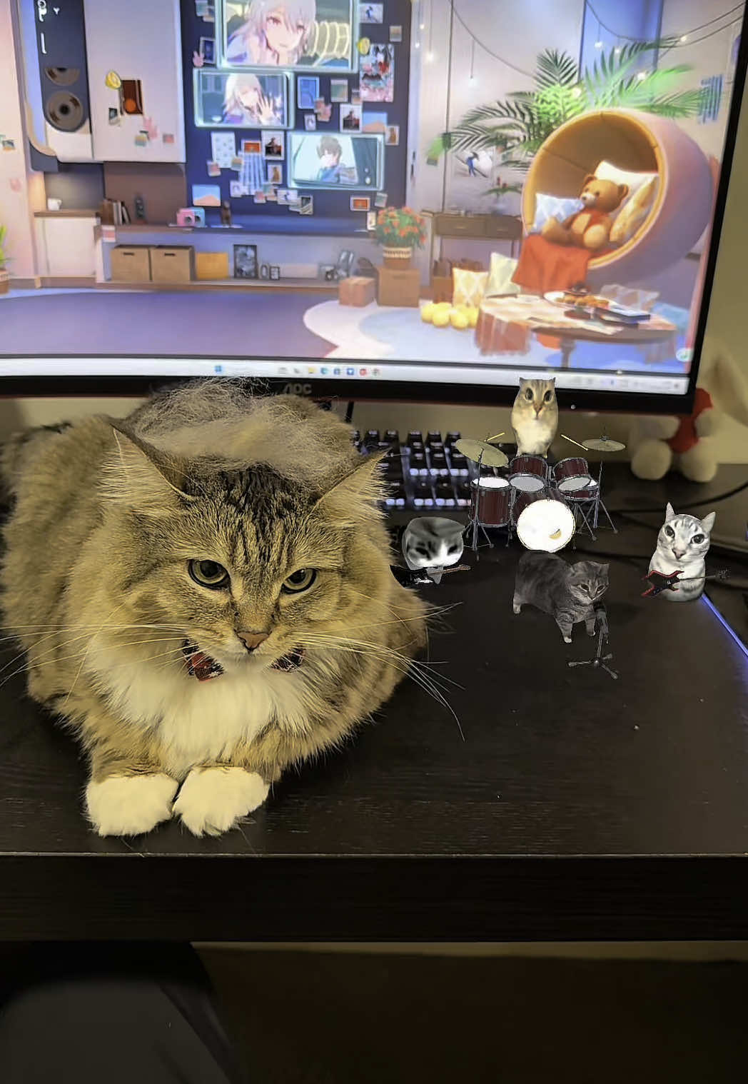 Luna tried to form a band, but it was ruined by all the floating fur. Luckily, I have the @SwitchBot Air Purifier Table at home. With its help, there's no more floating fur in the house! Now Luna has successfully formed her own band! Check my bio and purchase it! #switchbot #airpurifier #catsoftiktok 