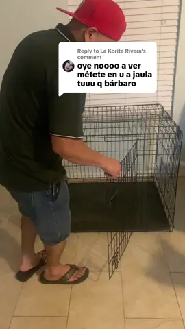 Replying to @La Korita Rivera #viral #videos #mascotas 