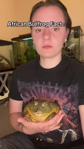 #frog #kronk 