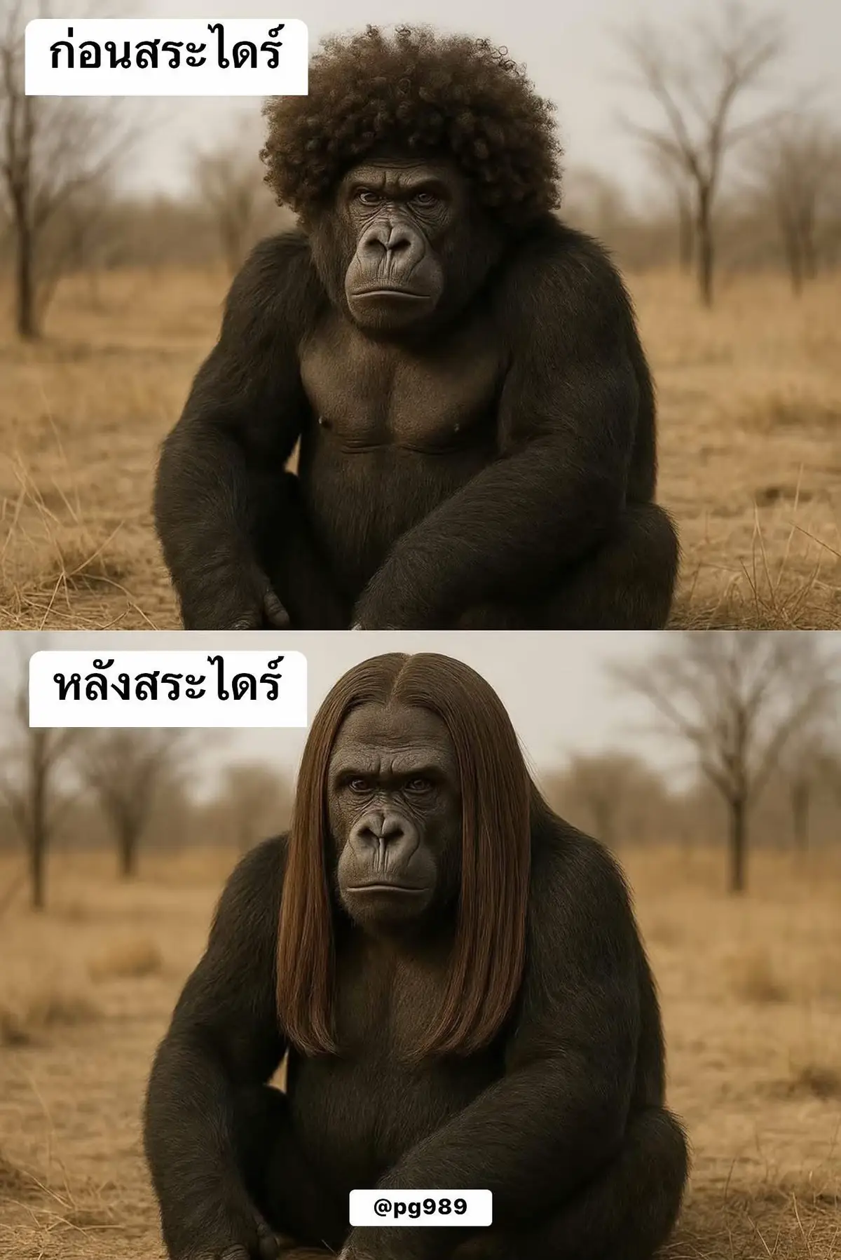 #คลิปตลก 