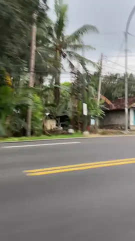 obat iri tidak tersedia di apotek🔥 #fyppppppppppppppppppppppp #trukmaniaindonesia #fypage 