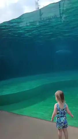 #tiktokvideo #mega #kiss #hot #game #spin #win #megakiss