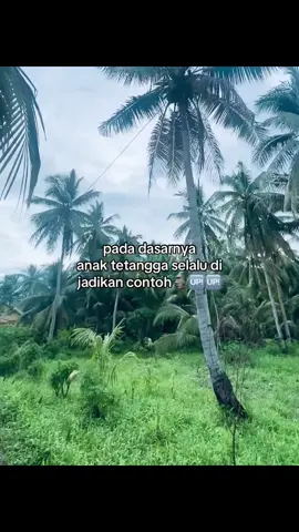 Sllukw#kotamobagu#manadoviral#bitungtiktok#talaudpunya#masukberandafyp#fypjokwa🥺#fyp#konten#tetangga#katakatastorywa_#4you#jamtayang#sulut#semua 