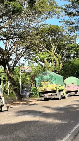 Disana panik disini tetap asik🤟🚀#fyppppppppppppppppppppppp #fypシ゚ #munculberanda #stylesumbar #storytruck 