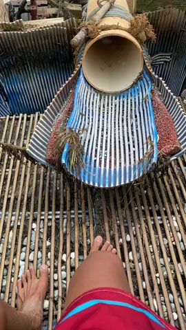 Nenek sond nya kk #tmbangemas #fyp #dompeng 