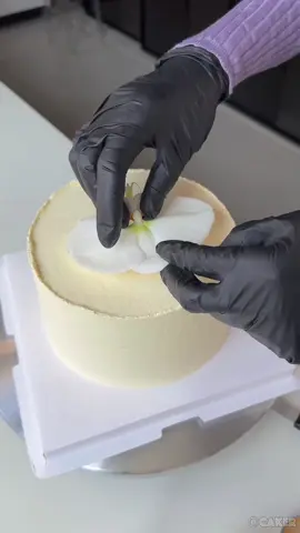 🎂🍰❤️🧁🍥Making a cake: An Immersive Experience #cake #asmr #immersive