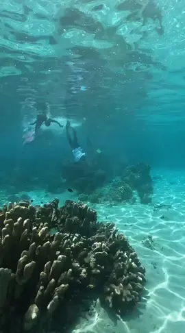 Abang & Kaka Nayla🥰🥰