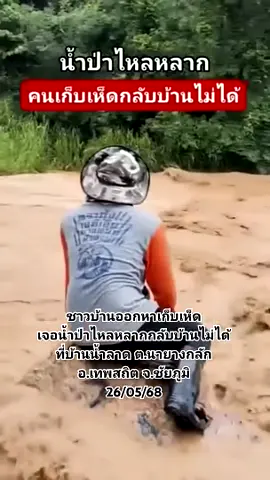 #บ้านต้นน้ําป่าน้ําราด #น้ําท่วม67 #สถานการณ์น้ําท่วมเชียงใหม่ 