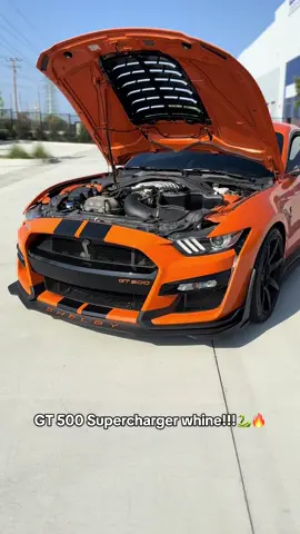 No music needed on this one. What do you guys want to see more of?? Planning on uploading some pulls soon! .Follow for more 🐍  . .  #mustang #ford #s #fordmustang #mustanggt #v #gt #cars #fordperformance #americanmuscle #mustangfanclub #musclecar #carsoftiktok #mustangsoftiktok #car #shelby #mustangs #mustanglife #camaro #carporn #musclecars #mustangnation #fyp #fordracing #gt500 #shelbygt #dodge #cobra #bmw #mustanglovers