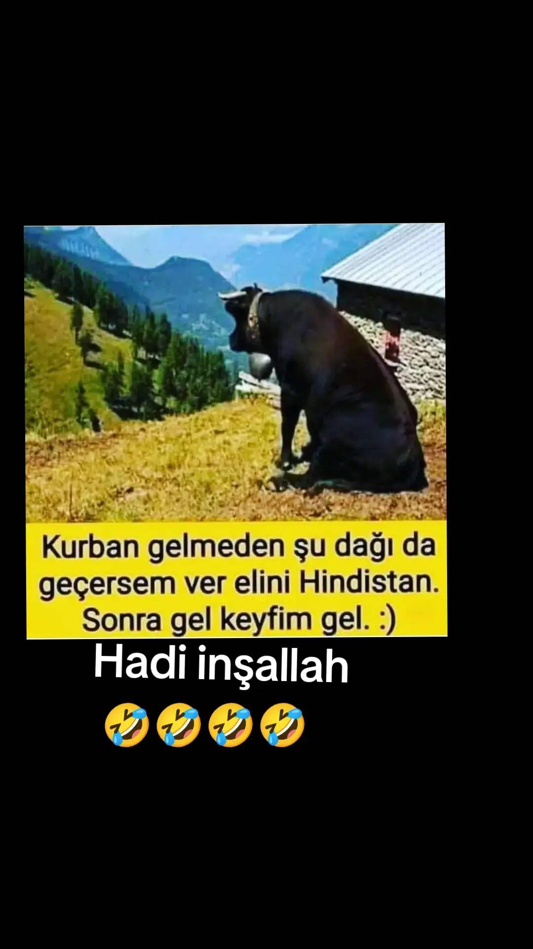 #kesfet #keş #keşfet 