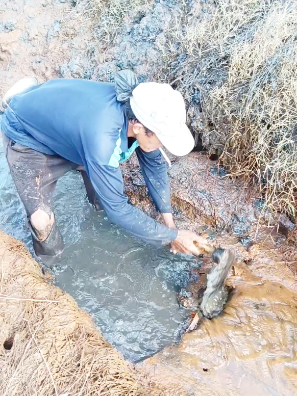 ketemu sesama tukang cangkul 