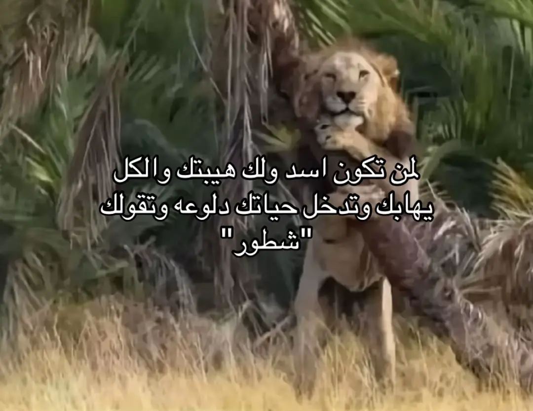 #fypシ゚vira #الشعب_الصيني_ماله_حل😂😂 