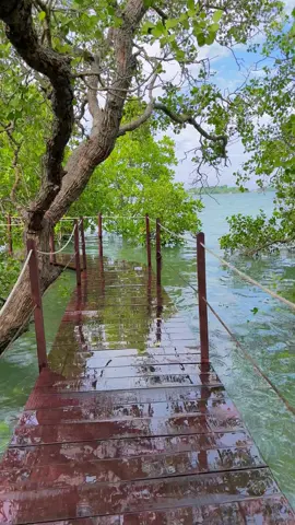 Ekowisata bale mangrove 🍃🍃 #lombokvirall🌴🌴 #lomboktiktok #balemangrovelombok❤️ #lombok #lomboktimur #lombokisland #mangrove 