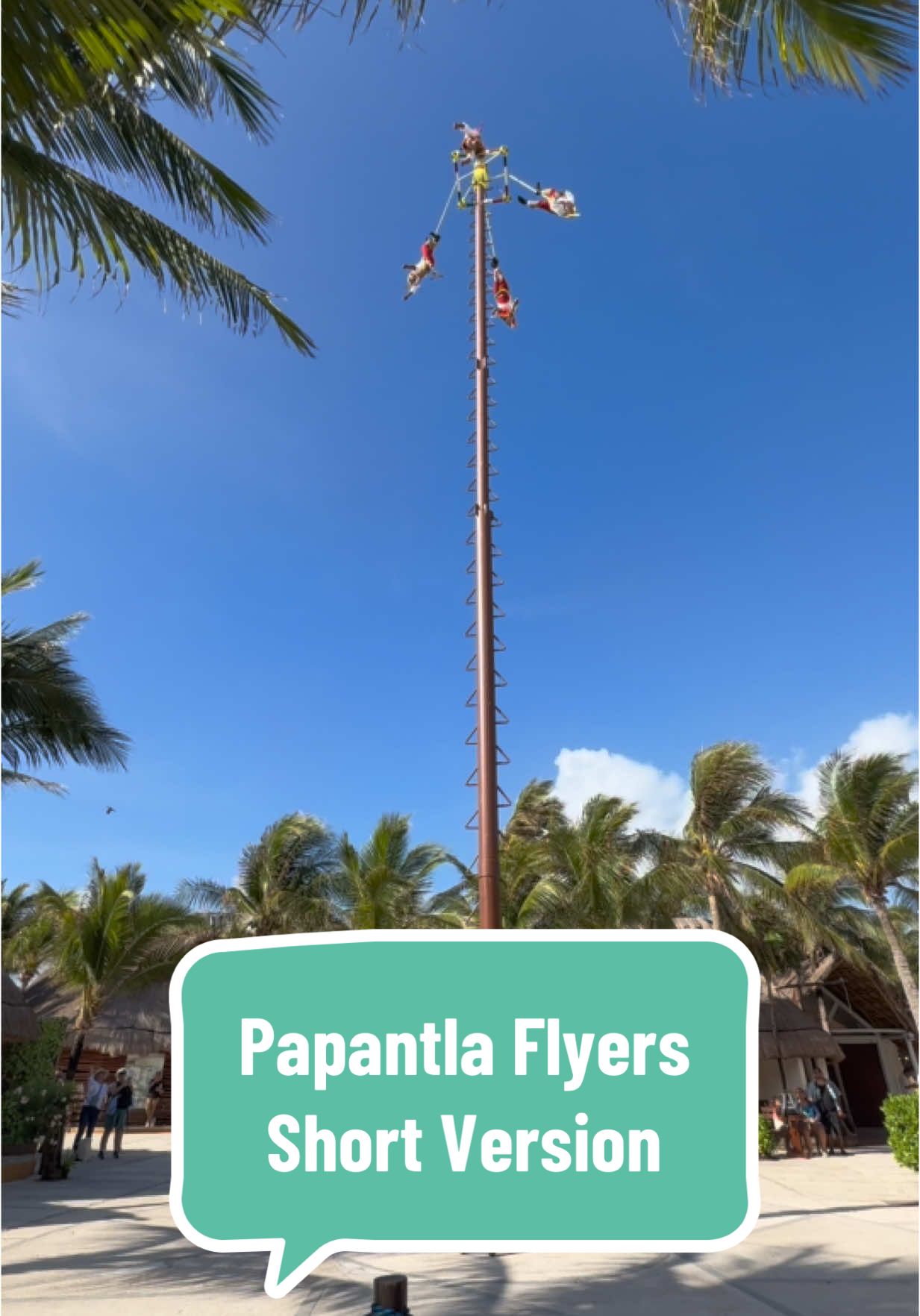 Papantla Flyers ritual at the Costa Maya cruise port. Check out my profile for the full performance #papantlaflyers #costamaya #cruiseport #cruising #royalcaribbean 