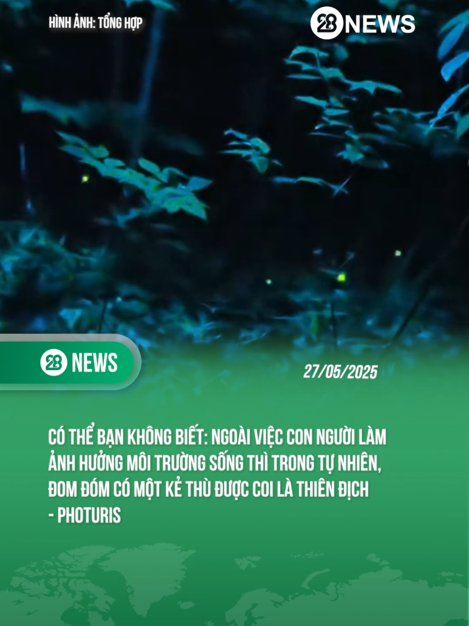 ĐOM ĐÓM HÃY CỰC KỲ CẨN THẬN VÌ TƯƠNG LAI GIỐNG LOÀI #theanh28 #theanh28news #tiktoknews