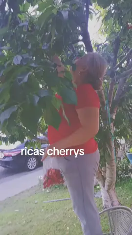 #corta do#cherrys#viralfyp