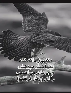 #مکتب و دانشگاه#تنها سند#میدهند ولی